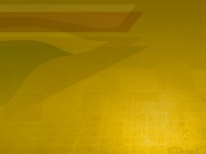 臨江市禮儀有限責任公司